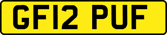 GF12PUF