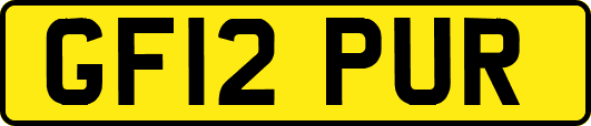GF12PUR