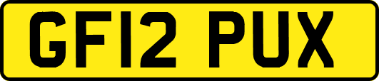 GF12PUX