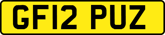 GF12PUZ