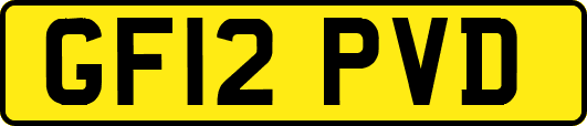GF12PVD