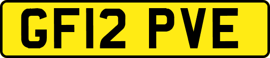 GF12PVE