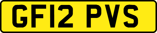 GF12PVS