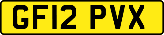 GF12PVX