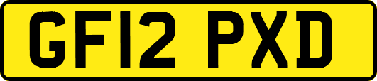 GF12PXD
