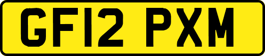 GF12PXM