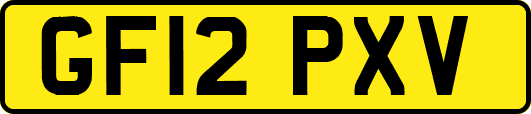 GF12PXV