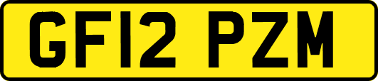 GF12PZM