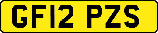 GF12PZS