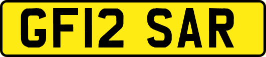 GF12SAR