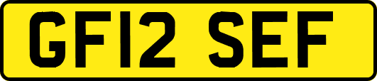 GF12SEF