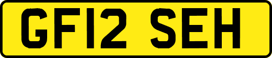 GF12SEH