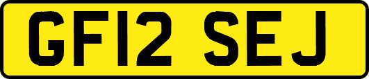 GF12SEJ