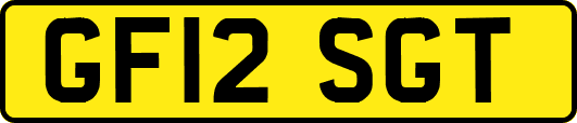 GF12SGT