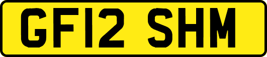 GF12SHM