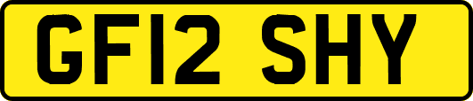 GF12SHY