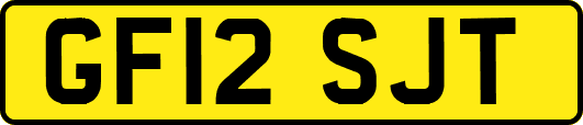 GF12SJT