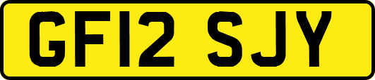 GF12SJY