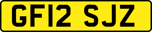 GF12SJZ