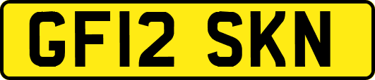 GF12SKN