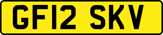 GF12SKV