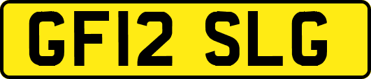 GF12SLG