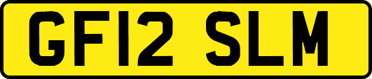 GF12SLM