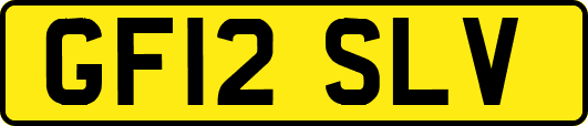 GF12SLV