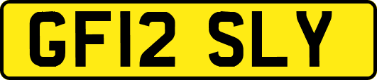 GF12SLY