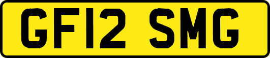 GF12SMG
