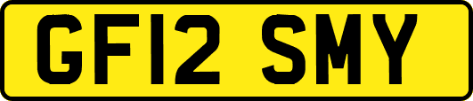 GF12SMY
