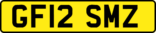 GF12SMZ