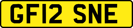 GF12SNE