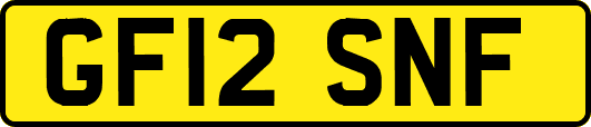 GF12SNF