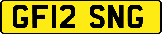 GF12SNG