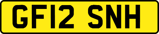 GF12SNH