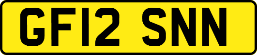 GF12SNN