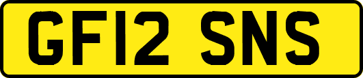 GF12SNS