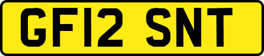 GF12SNT