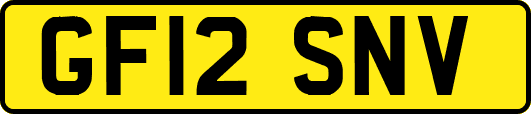 GF12SNV