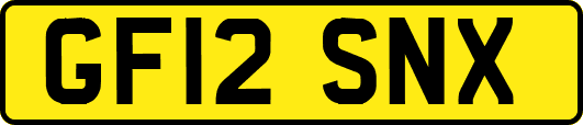 GF12SNX