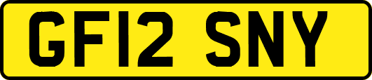 GF12SNY