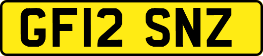 GF12SNZ