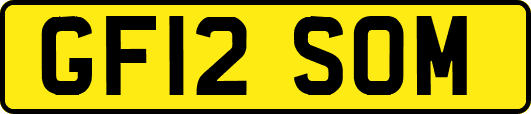 GF12SOM