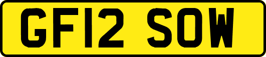 GF12SOW
