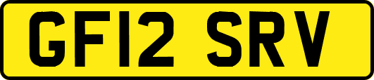 GF12SRV