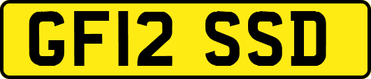 GF12SSD