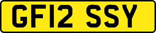 GF12SSY