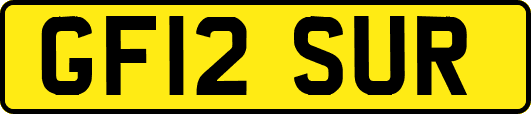 GF12SUR