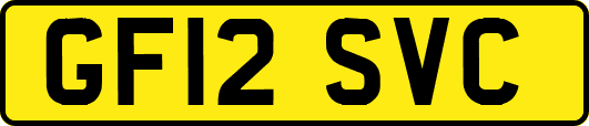GF12SVC
